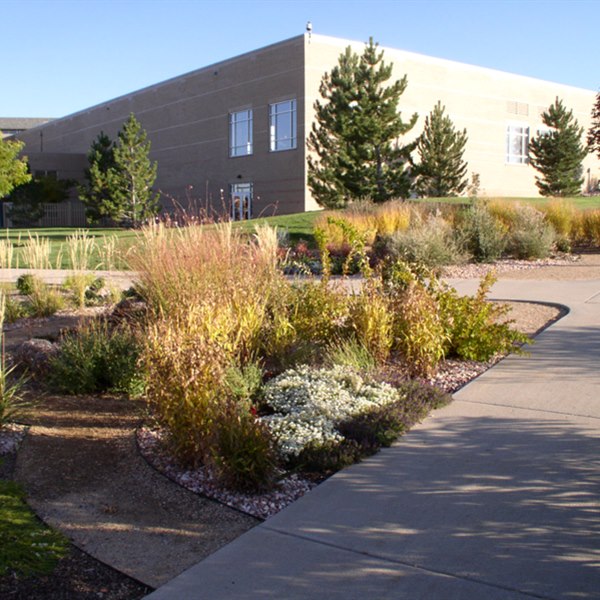 Commercial landscape project