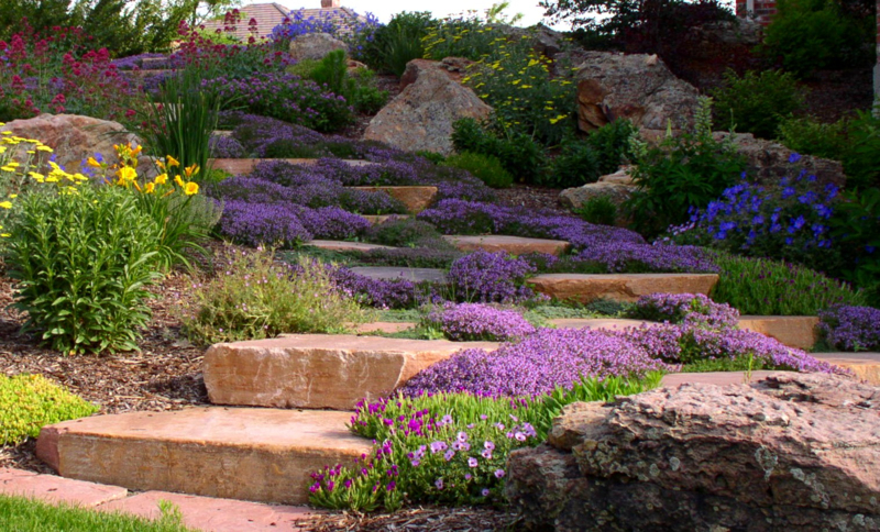 Residential lawn and garden