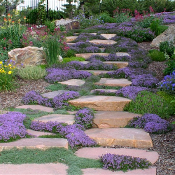 Residential landscape