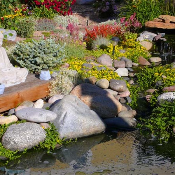 Residential landscape