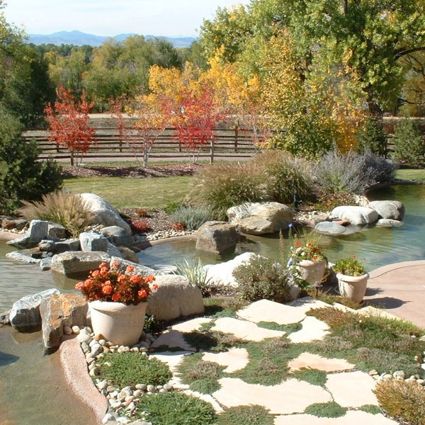 Residential landscape