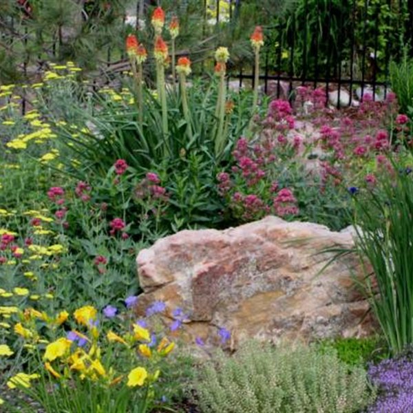 Residential landscape