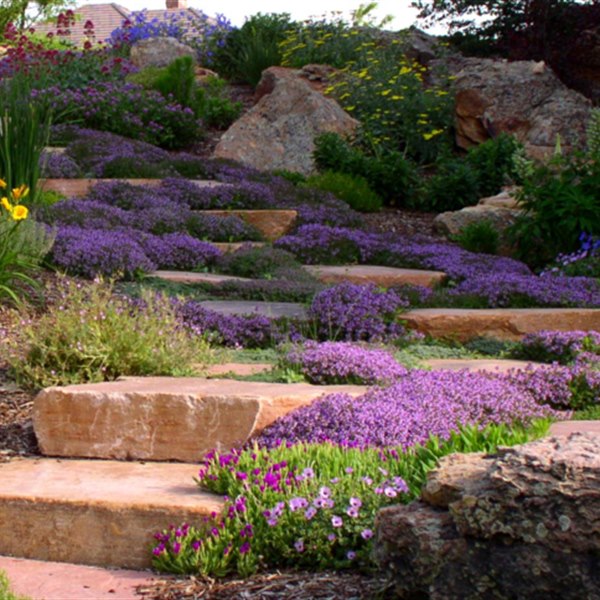 Residential landscape