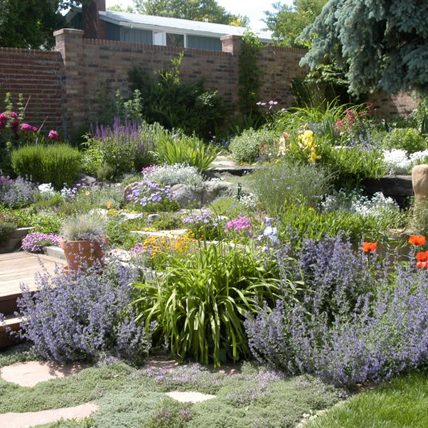 Residential landscape