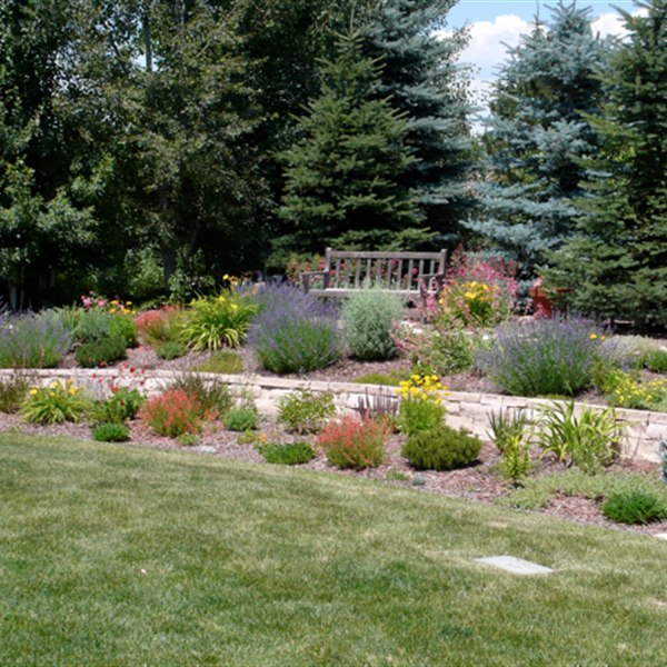 Residential landscape