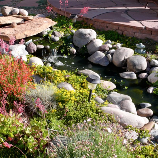 Residential landscape